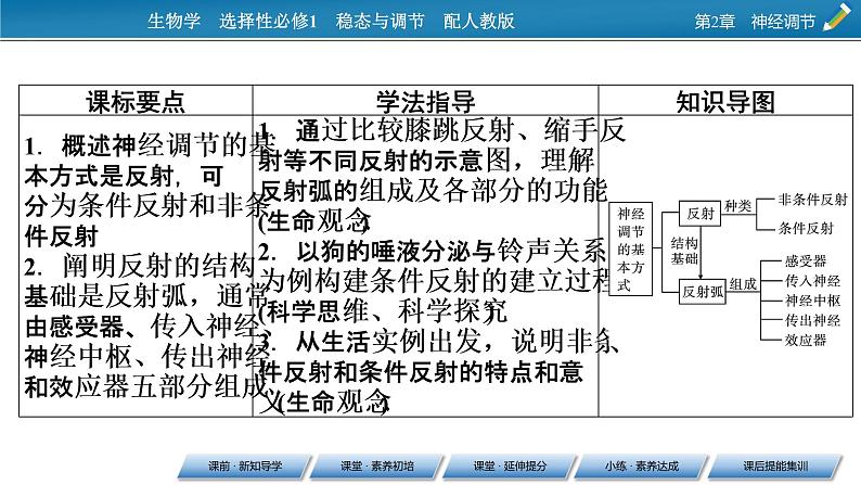 2021-2022学年高中生物新人教版选择性必修1 第2章 第2节 神经调节的基本方式 课件(62张)02