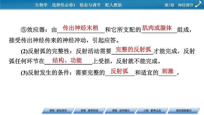 2021-2022学年高中生物新人教版选择性必修1 第2章 第2节 神经调节的基本方式 课件(62张)06