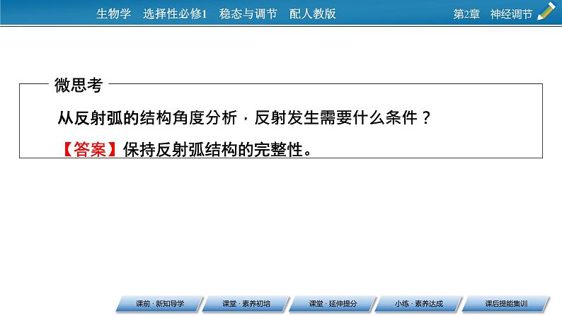 2021-2022学年高中生物新人教版选择性必修1 第2章 第2节 神经调节的基本方式 课件(62张)08