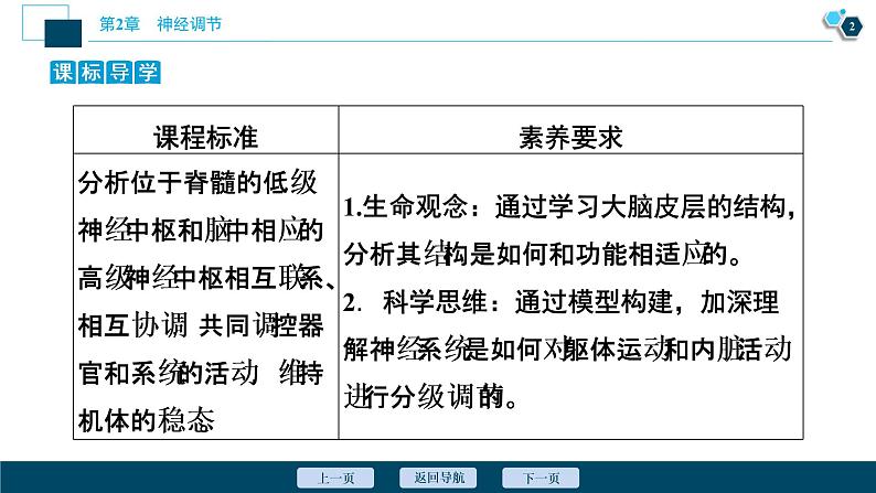 2021-2022学年高中生物新人教版选择性必修1 神经系统的分级调节(33张)课件03