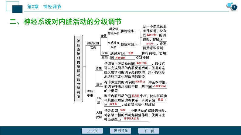 2021-2022学年高中生物新人教版选择性必修1 神经系统的分级调节(33张)课件08