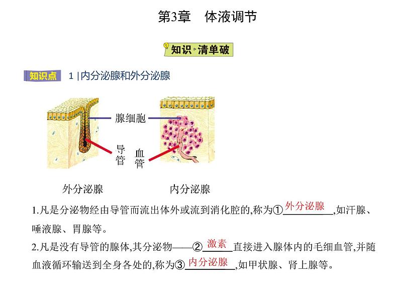 2021-2022学年高中生物新人教版选择性必修1 第3章 第1节 激素与内分泌系统 课件(17张)第2页