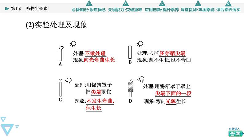 2021-2022学年高中生物新人教版选择性必修1 植物生长素(79张) 课件第5页