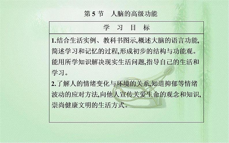 2021-2022学年高中生物新人教版选择性必修1 第2章 第5节 人脑的高级功能 课件(24张)第2页