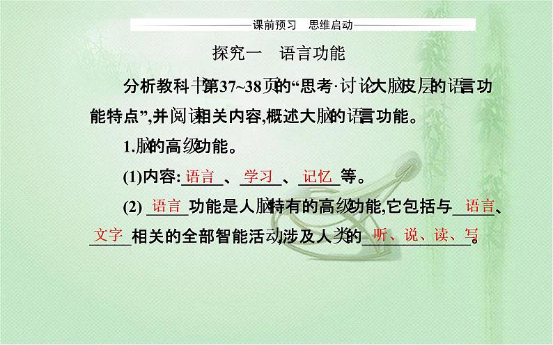 2021-2022学年高中生物新人教版选择性必修1 第2章 第5节 人脑的高级功能 课件(24张)第3页