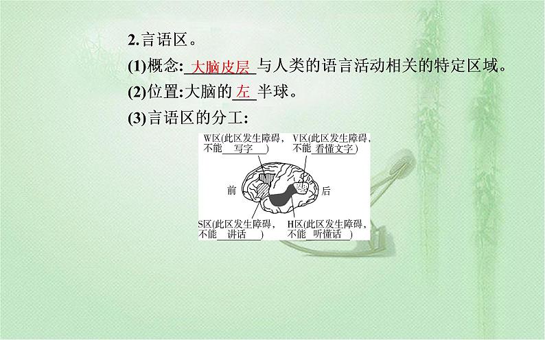2021-2022学年高中生物新人教版选择性必修1 第2章 第5节 人脑的高级功能 课件(24张)第4页