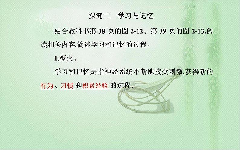 2021-2022学年高中生物新人教版选择性必修1 第2章 第5节 人脑的高级功能 课件(24张)第5页