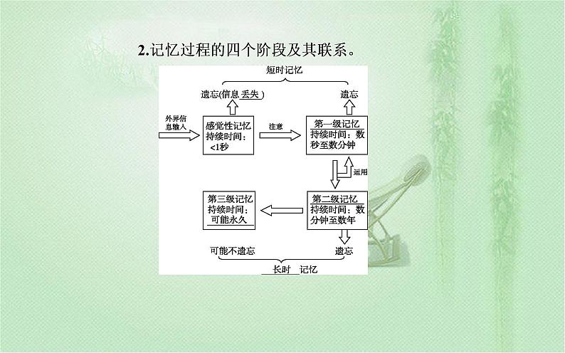 2021-2022学年高中生物新人教版选择性必修1 第2章 第5节 人脑的高级功能 课件(24张)第6页