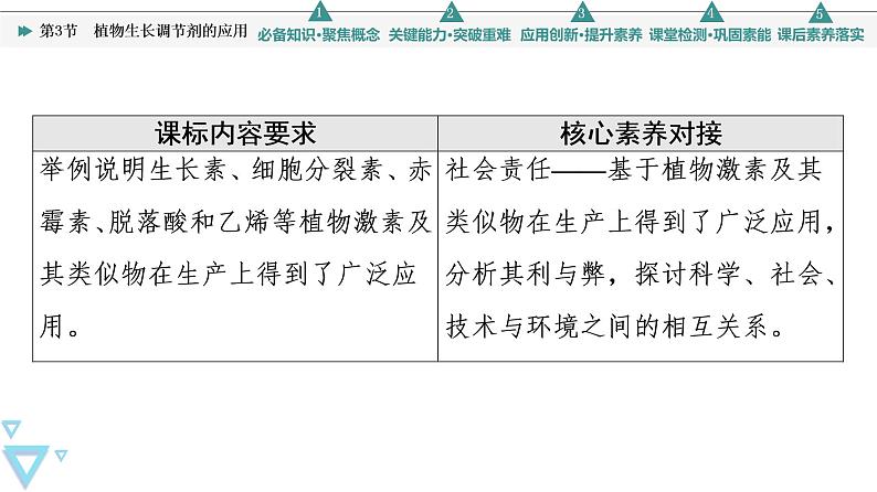 2021-2022学年高中生物新人教版选择性必修1 植物生长调节剂的应用(30张) 课件第2页