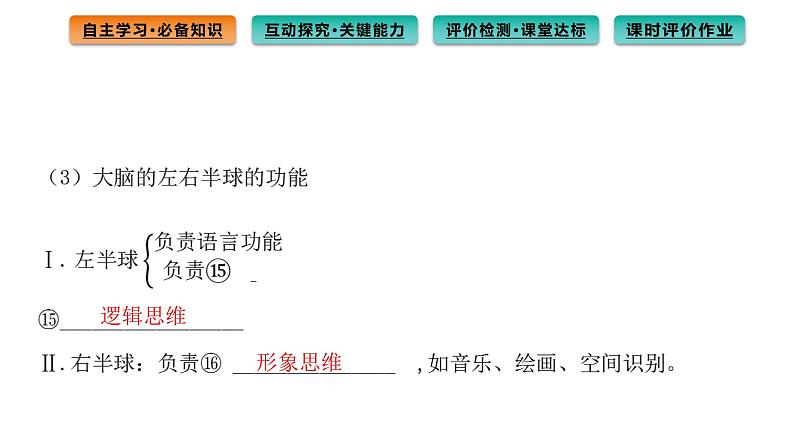 2021-2022学年高中生物新人教版选择性必修1 第2章 第5节 人脑的高级功能 课件(76张)第5页
