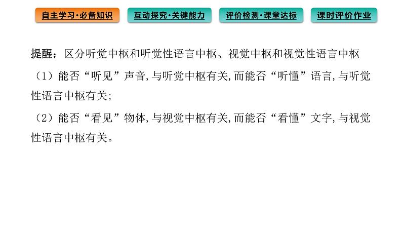 2021-2022学年高中生物新人教版选择性必修1 第2章 第5节 人脑的高级功能 课件(76张)第6页