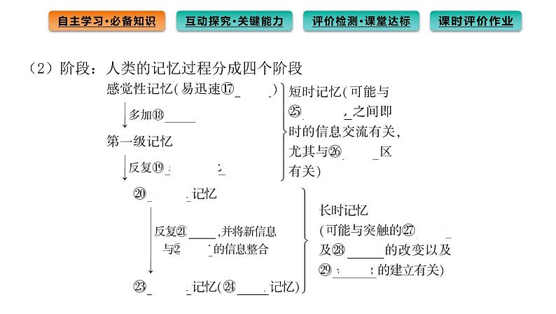2021-2022学年高中生物新人教版选择性必修1 第2章 第5节 人脑的高级功能 课件(76张)第8页