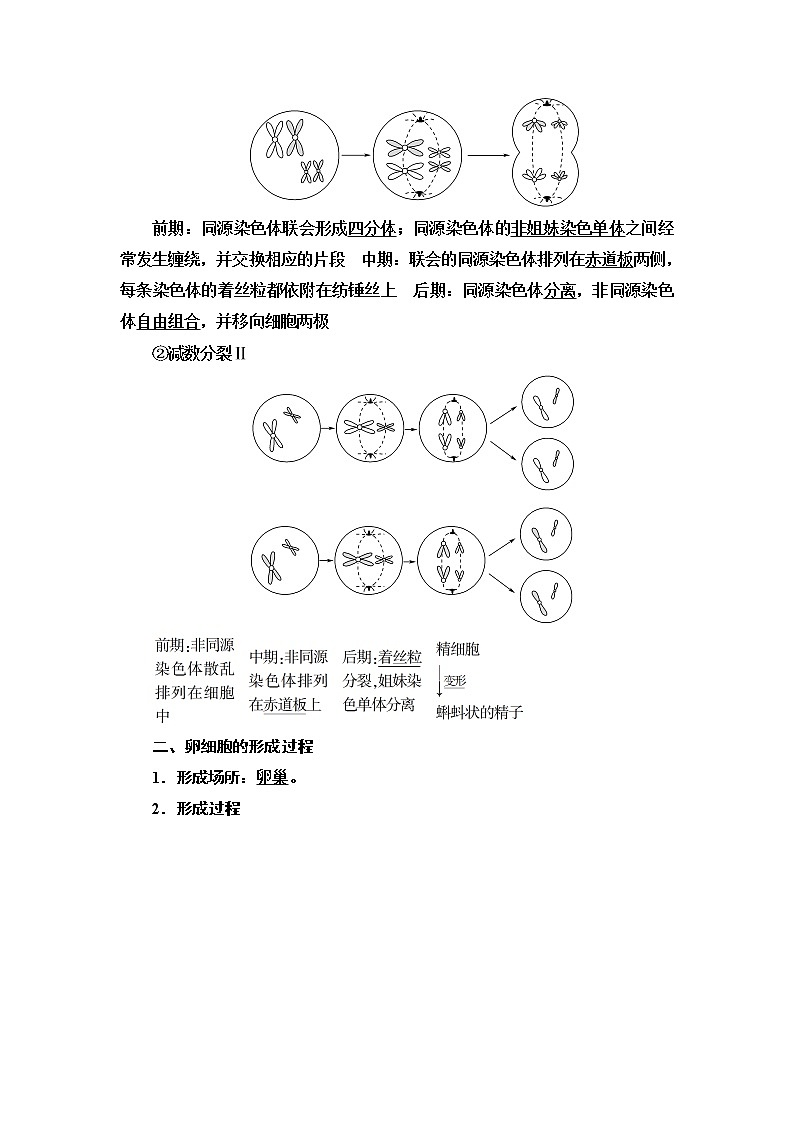 2021-2022学年高中生物新人教版必修第二册 第2章 第1节 第1课时 减数分裂 学案第2页