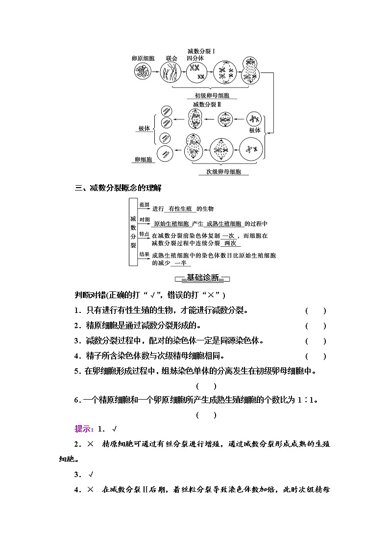 2021-2022学年高中生物新人教版必修第二册 第2章 第1节 第1课时 减数分裂 学案第3页