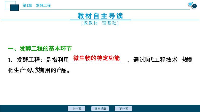 2021-2022学年高中生物新人教版选择性必修3 发酵工程及其应用(35张) 课件04