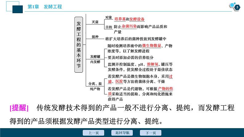 2021-2022学年高中生物新人教版选择性必修3 发酵工程及其应用(35张) 课件06