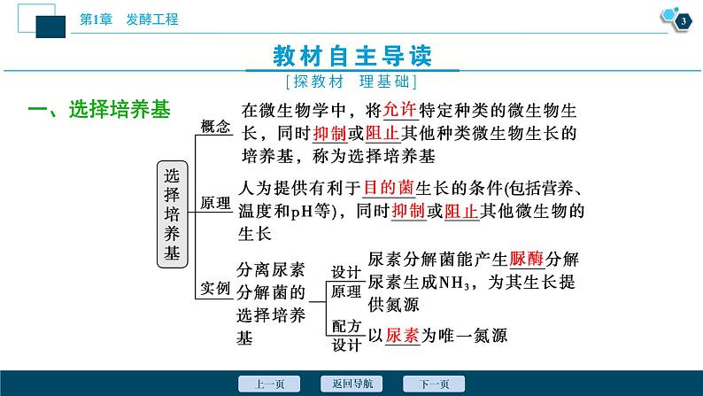 2021-2022学年高中生物新人教版选择性必修3 微生物的选择培养和计数(49张)课件PPT04