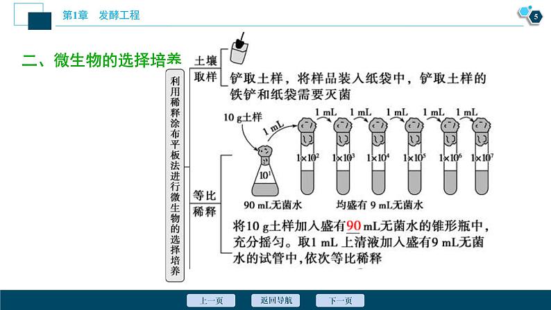 2021-2022学年高中生物新人教版选择性必修3 微生物的选择培养和计数(49张)课件PPT06