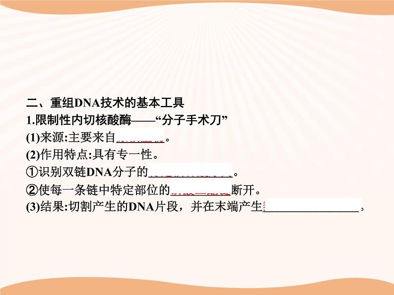 第3章 第1节 重组DNA技术的基本工具 课件 高中生物新人教版选择性必修3(2022年)第8页