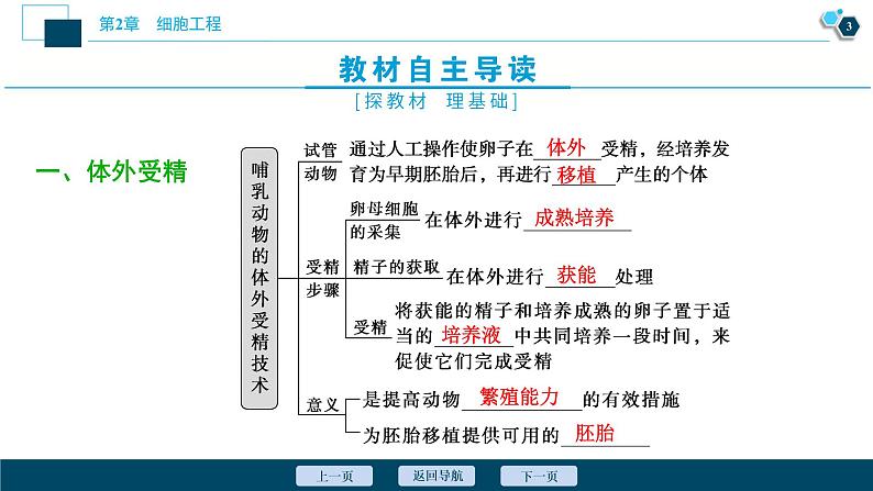 2021-2022学年高中生物新人教版选择性必修3 胚胎工程技术及其应用 (43张) 课件第4页