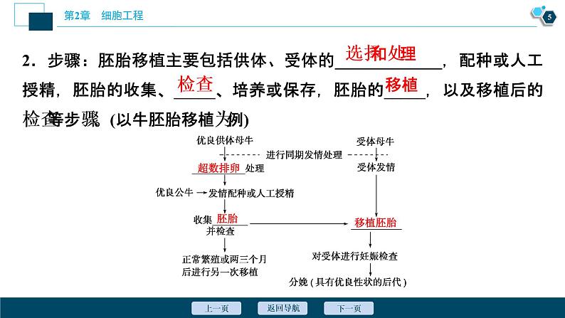 2021-2022学年高中生物新人教版选择性必修3 胚胎工程技术及其应用 (43张) 课件第6页