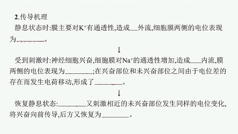 2021-2022学年高中生物新人教版选择性必修1 神经冲动的产生和传导(43张) 课件第7页
