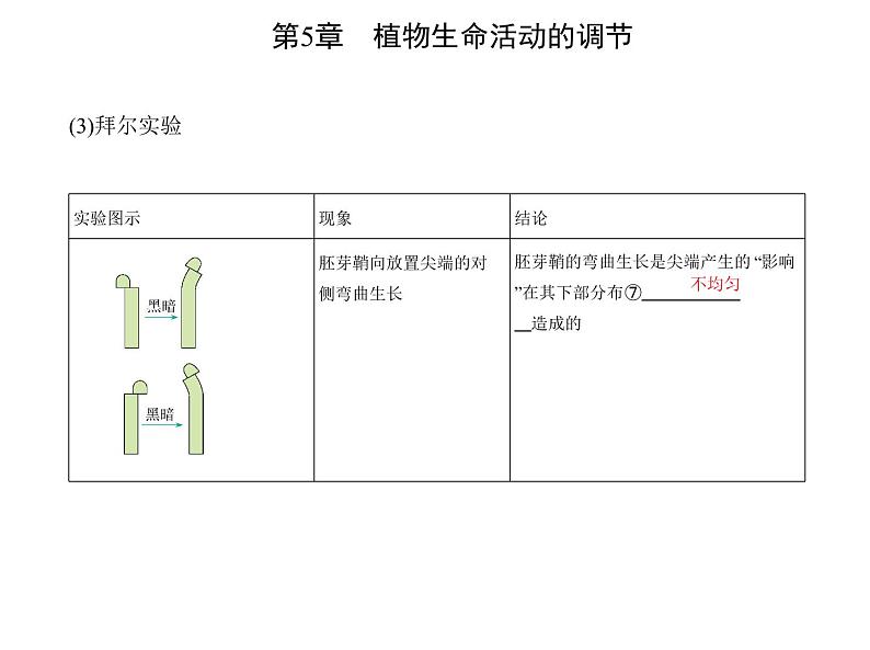 2021-2022学年高中生物新人教版选择性必修1 第5章 第1节 植物生长素 课件(21张)第5页