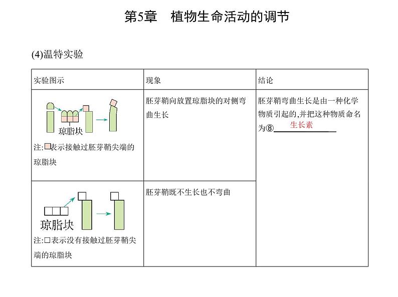 2021-2022学年高中生物新人教版选择性必修1 第5章 第1节 植物生长素 课件(21张)第6页
