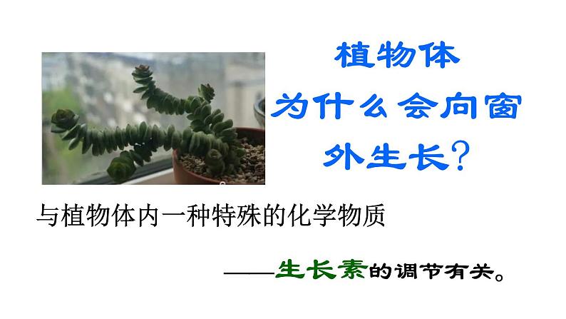 2021-2022学年高中生物新人教版选择性必修1 第5章 第1节 免疫学的应用 课件(69张)第3页