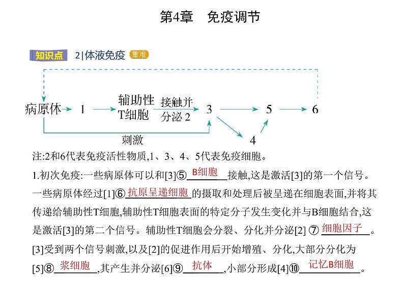2021-2022学年高中生物新人教版选择性必修1 第4章 第2节 特异性免疫 课件(18张)第3页