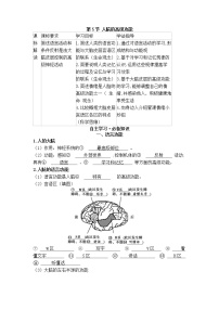 高中生物人教版 (2019)选择性必修1第5节 人脑的高级功能导学案