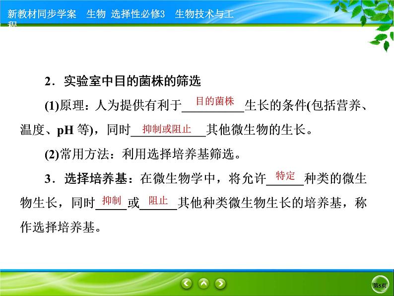 2021-2022学年高中生物新人教版选择性必修3 微生物的选择培养和计数 课件(76张)05