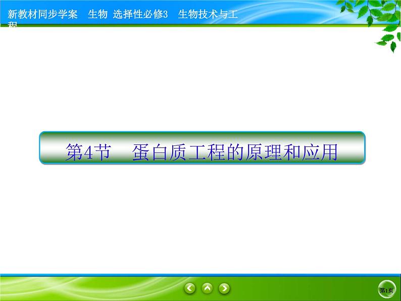 2021-2022学年高中生物新人教版选择性必修3 蛋白质工程的原理和应用 课件(49张)01