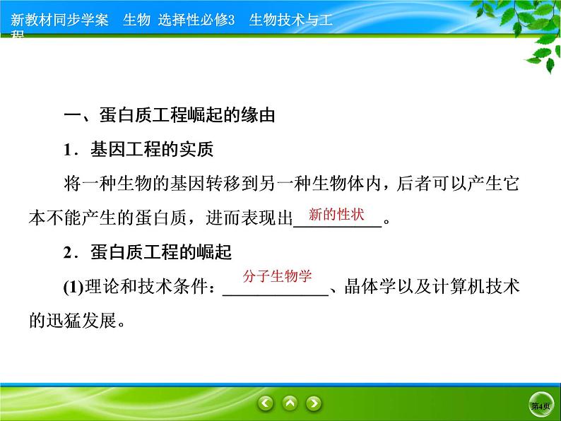 2021-2022学年高中生物新人教版选择性必修3 蛋白质工程的原理和应用 课件(49张)04