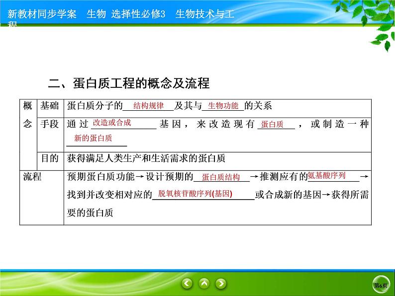 2021-2022学年高中生物新人教版选择性必修3 蛋白质工程的原理和应用 课件(49张)06