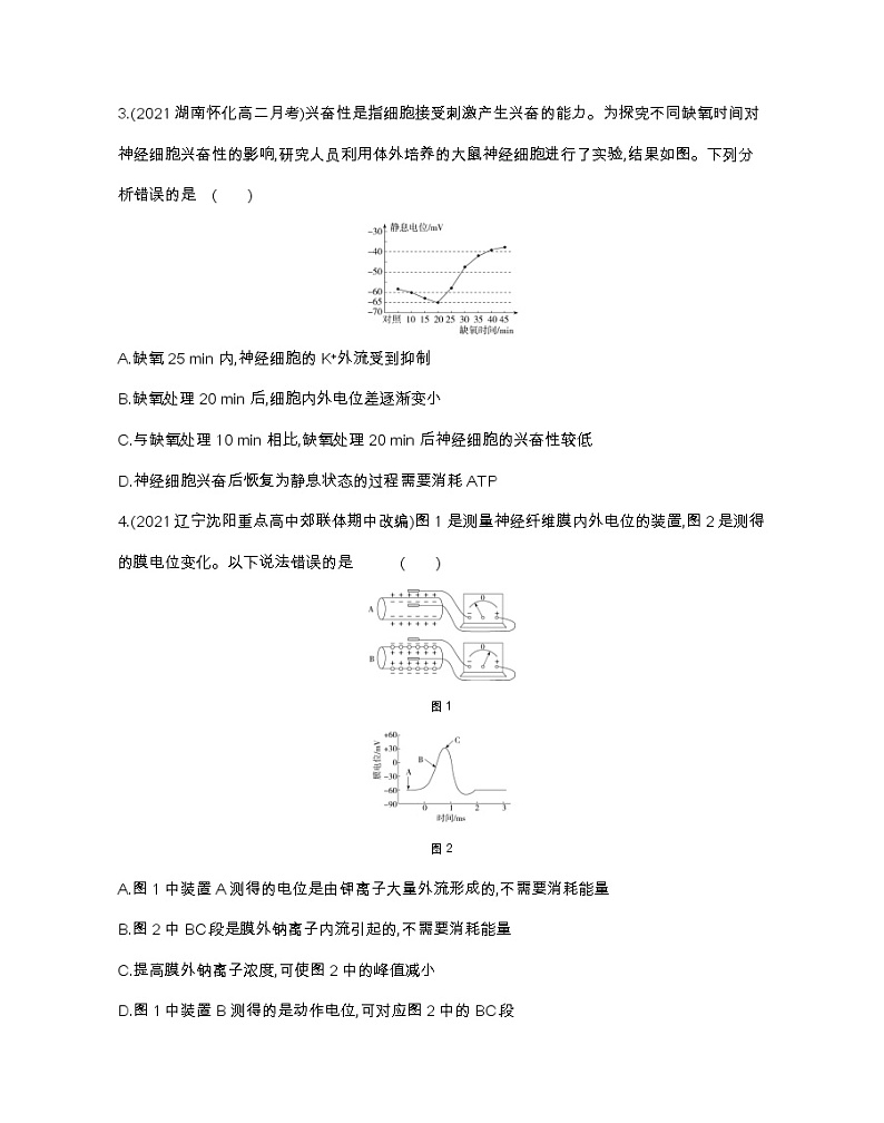 第1课时 兴奋在神经纤维上的传导-2022版生物选择性必修1人教版(2019) 同步练习 (Word含解析)第2页