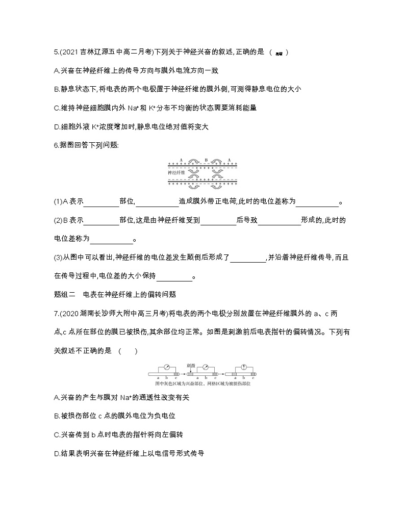 第1课时 兴奋在神经纤维上的传导-2022版生物选择性必修1人教版(2019) 同步练习 (Word含解析)第3页