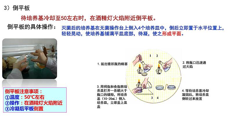 1.2.2 微生物的培养技术及应用 课件【新教材】 2020-2021学年人教版(2019)高二生物选择性必修三第6页
