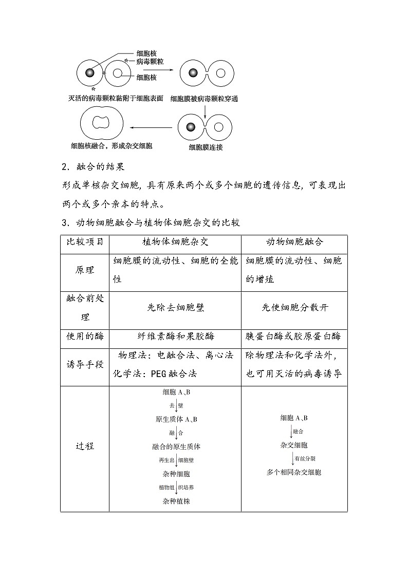 2.2.2 动物细胞工程 导学案 ②探究案【新教材】2020-2021学年人教版(2019)高二生物选择性必修三02