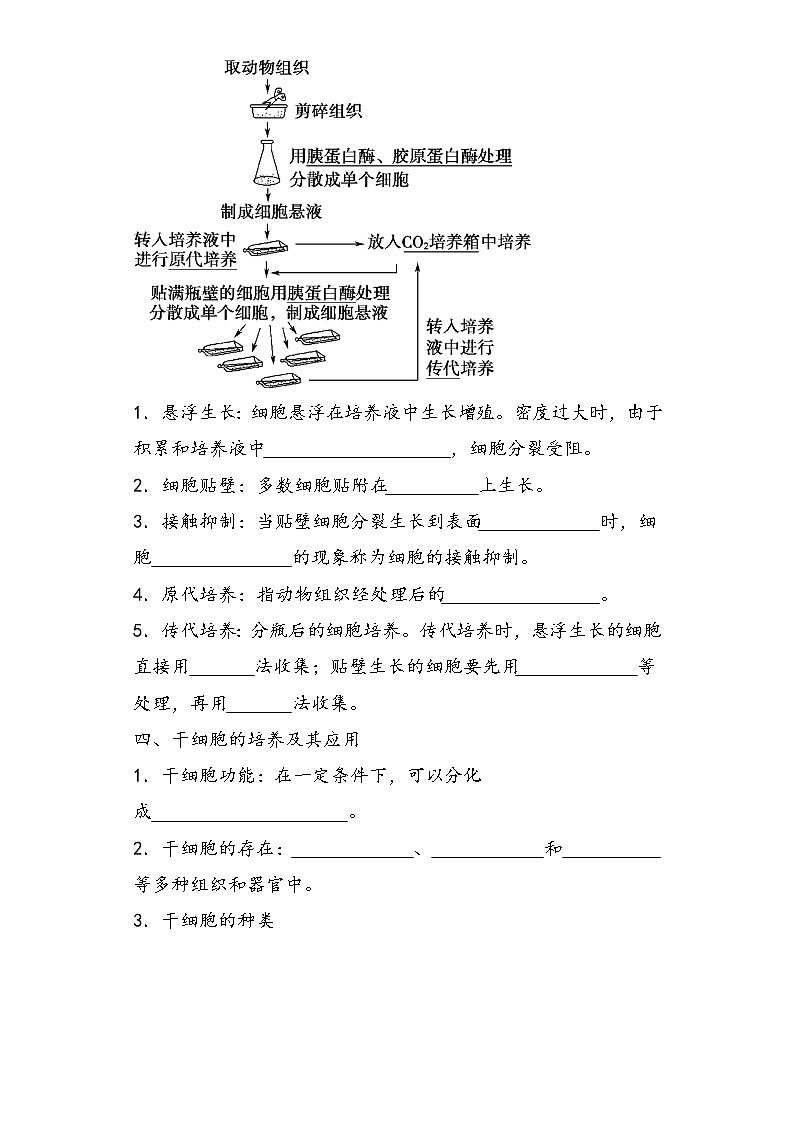 2.2.1 动物细胞工程 导学案 ①预习案【新教材】2020-2021学年人教版(2019)高二生物选择性必修三02