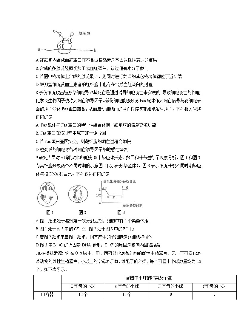 2022屆天津市河西區(qū)高三上學(xué)期期中考試生物試題含答案第3頁