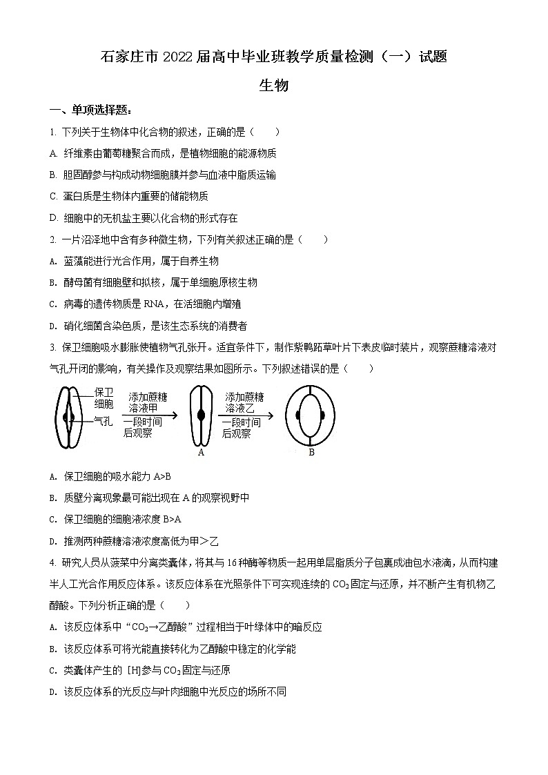 2022届河北省石家庄市高三上学期毕业班教学质量检测(一)生物试题(word版)第1页
