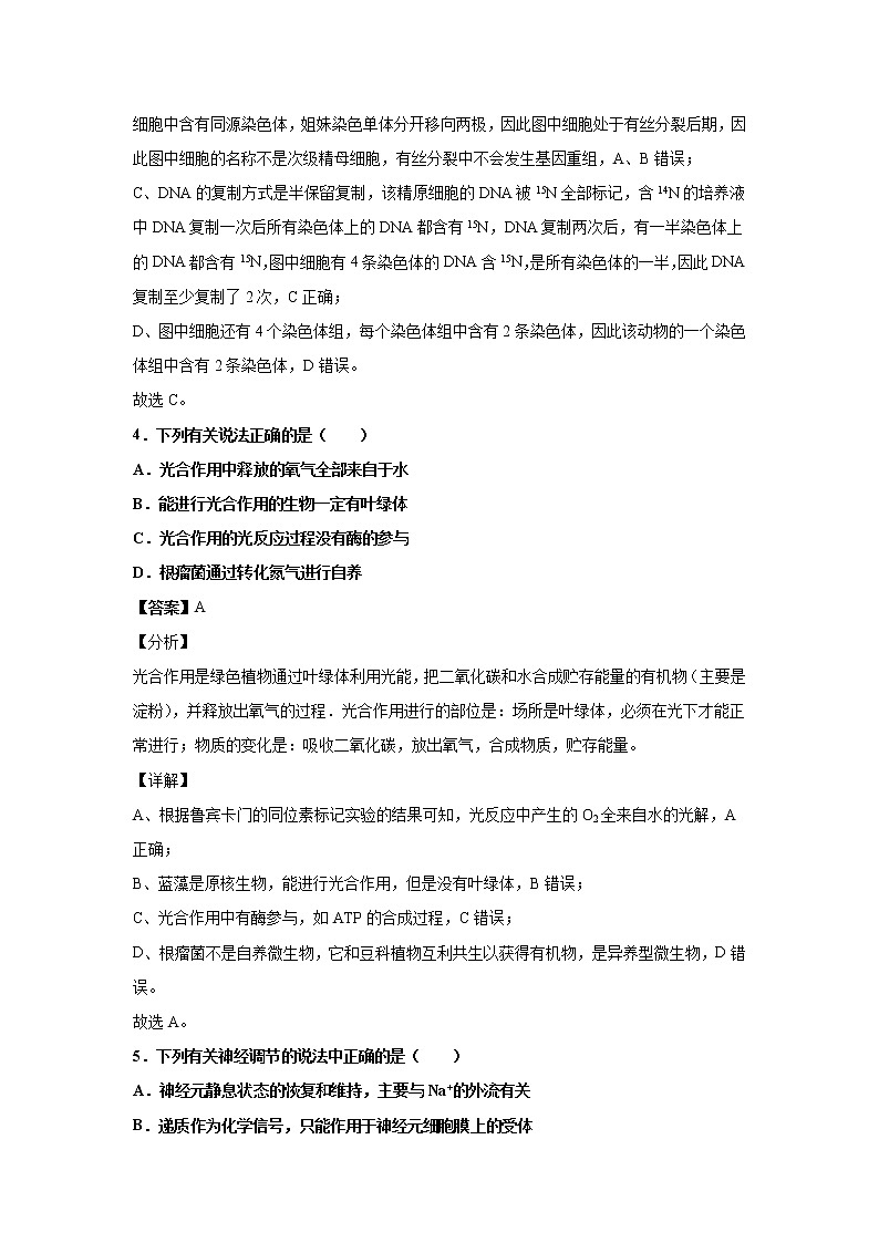2022届云南省昆明市一中高三上学期第二次联考生物试题解析版第3页
