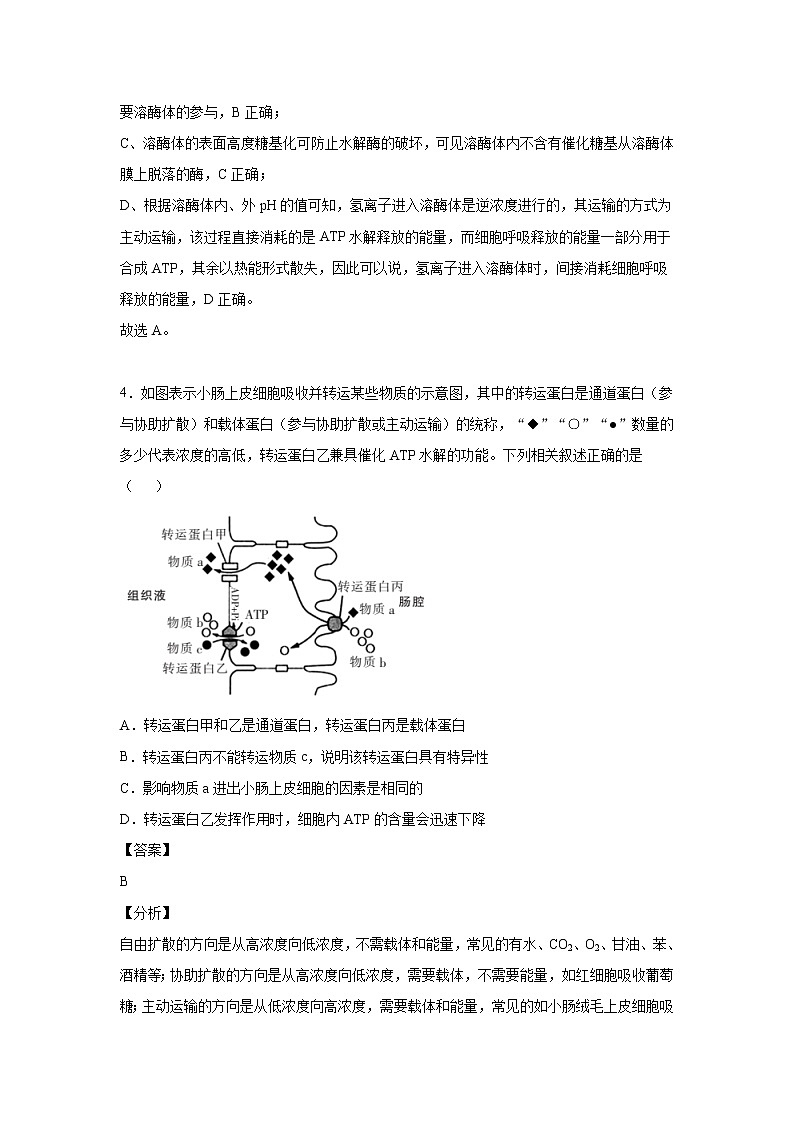 2021-2022学年江西省高三入学摸底考试生物试题含答案第3页