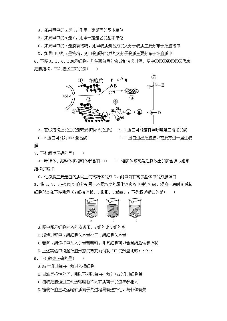 2022届河南省高三上学期阶段性大联考一生物试题含答案第2页