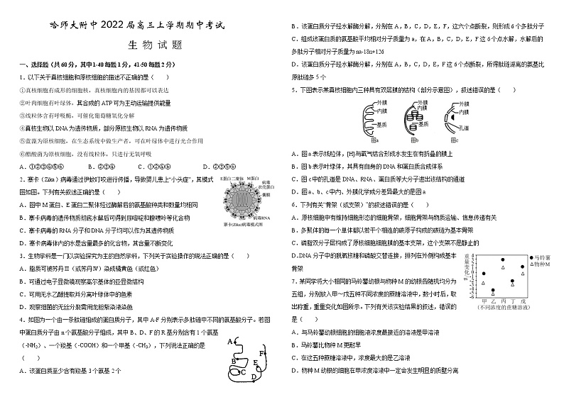 2022届黑龙江省哈尔滨师范大学附属中学高三上学期期中考试生物试题含答案01