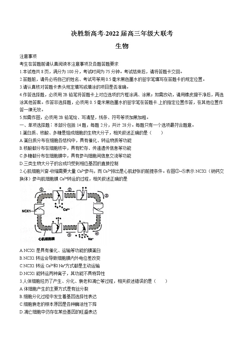 2022届江苏省高三高考大联考生物试题word01