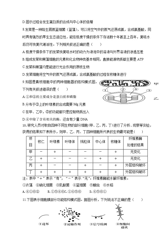 2022届山西大学附中高三上学期11月期中考试生物试题含答案第3页