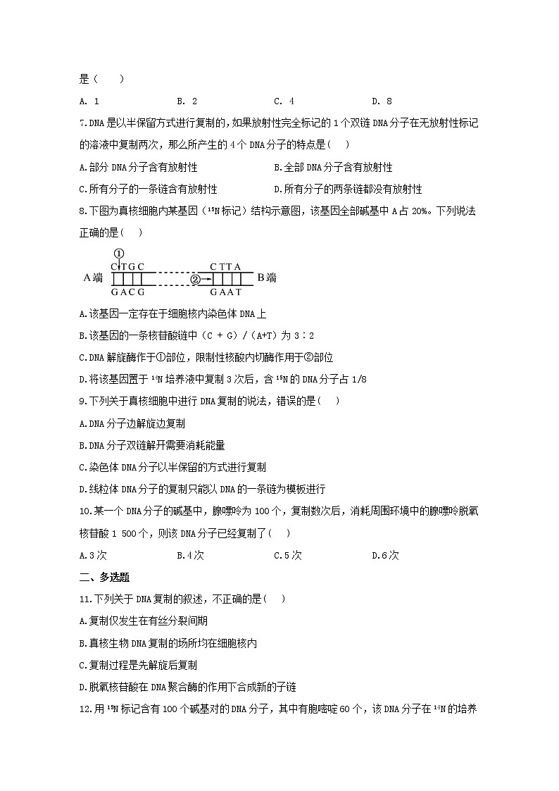 高中生物暑假作业08DNA的复制基础训练含解析02