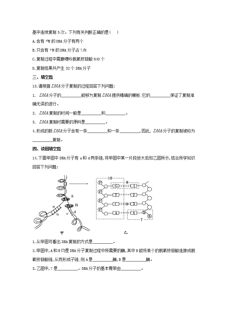 高中生物暑假作业08DNA的复制基础训练含解析03